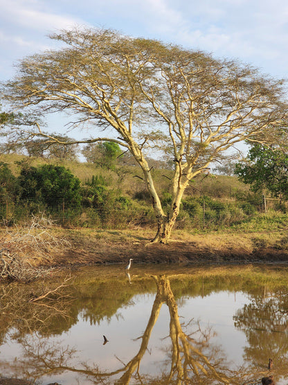  Thanda Safari - Private Game Reserve