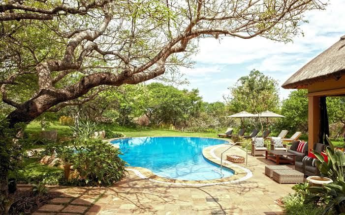  Thanda Safari - Private Game Reserve