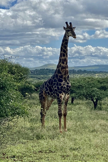  Thanda Safari - Private Game Reserve