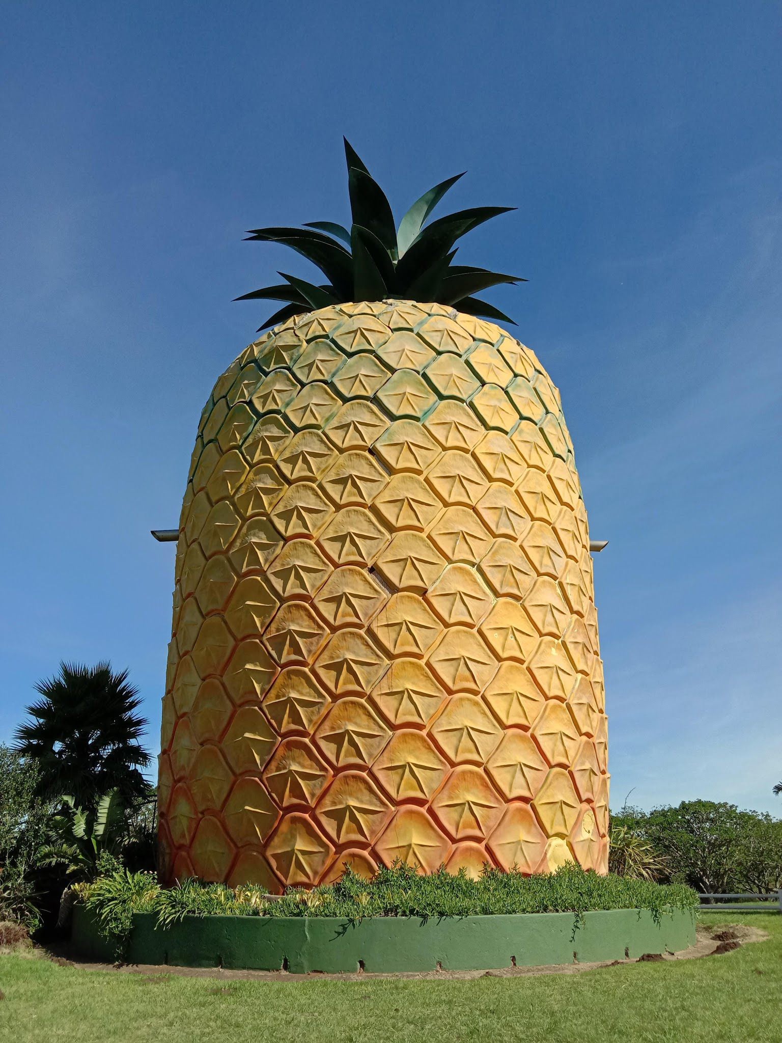  The Big Pineapple