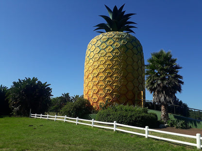  The Big Pineapple