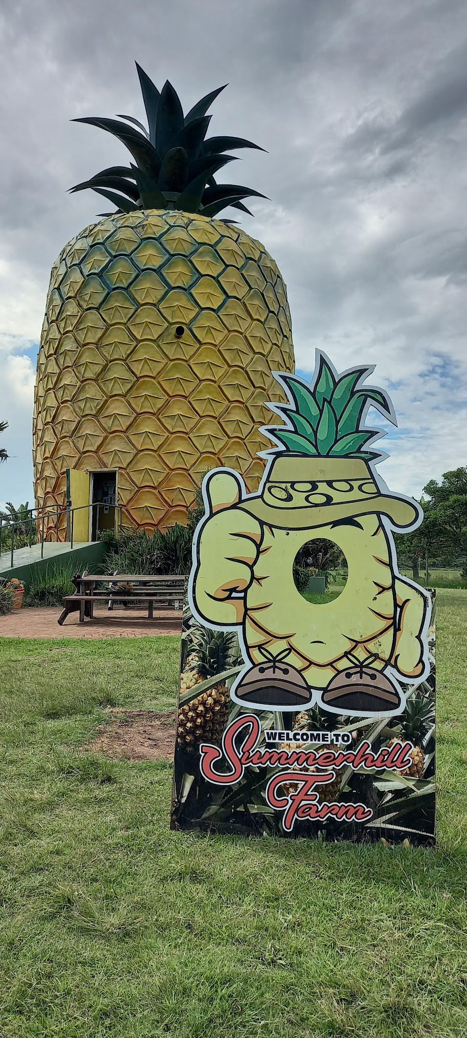  The Big Pineapple