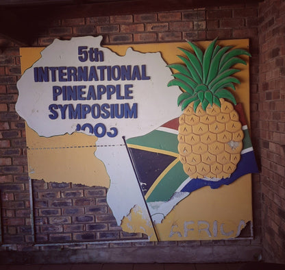  The Big Pineapple