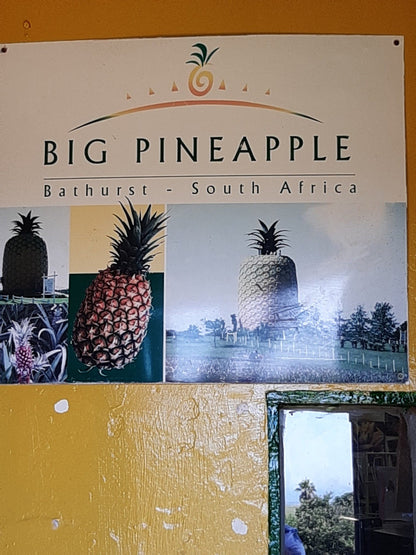  The Big Pineapple