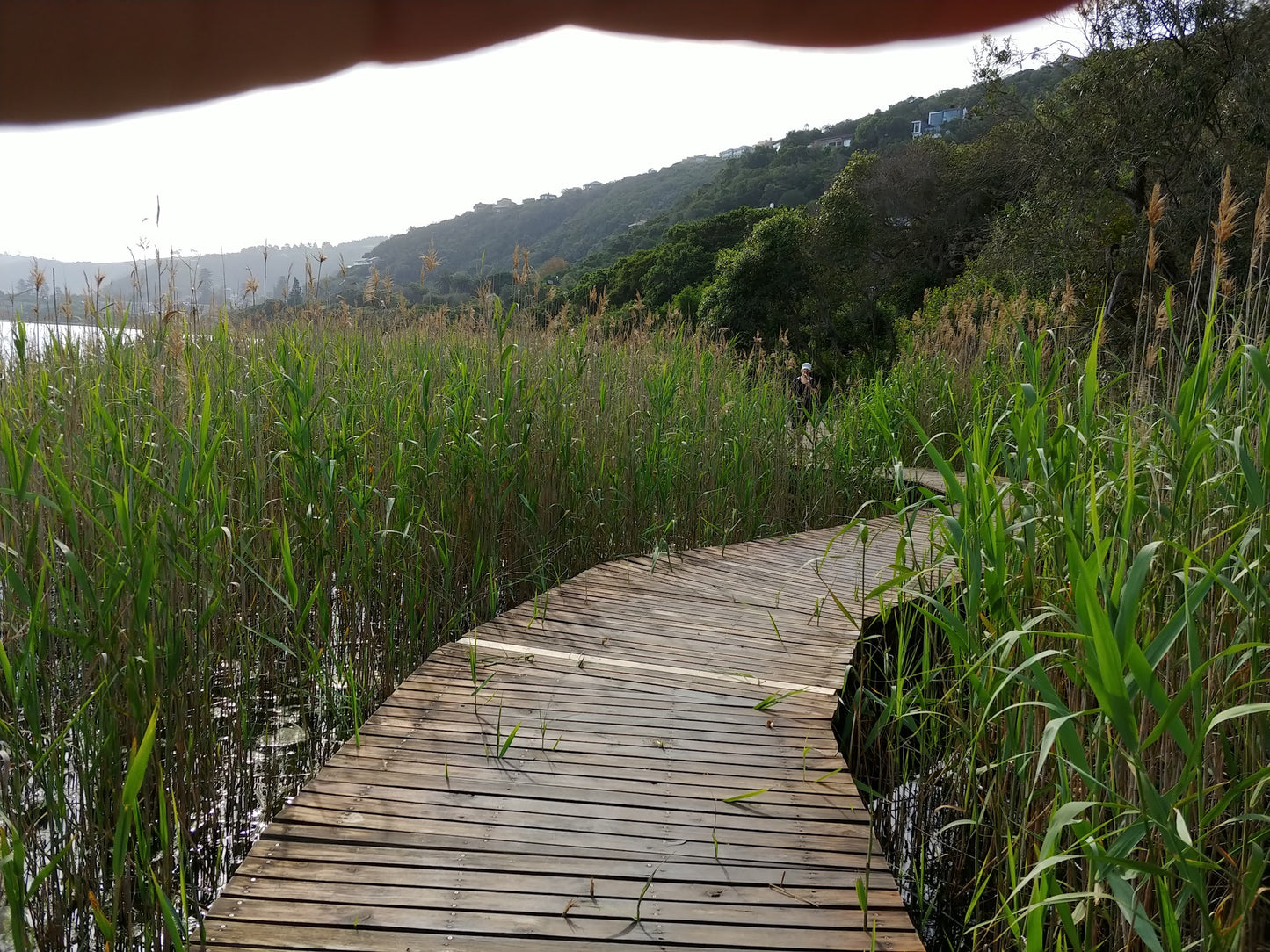 The Board Walk