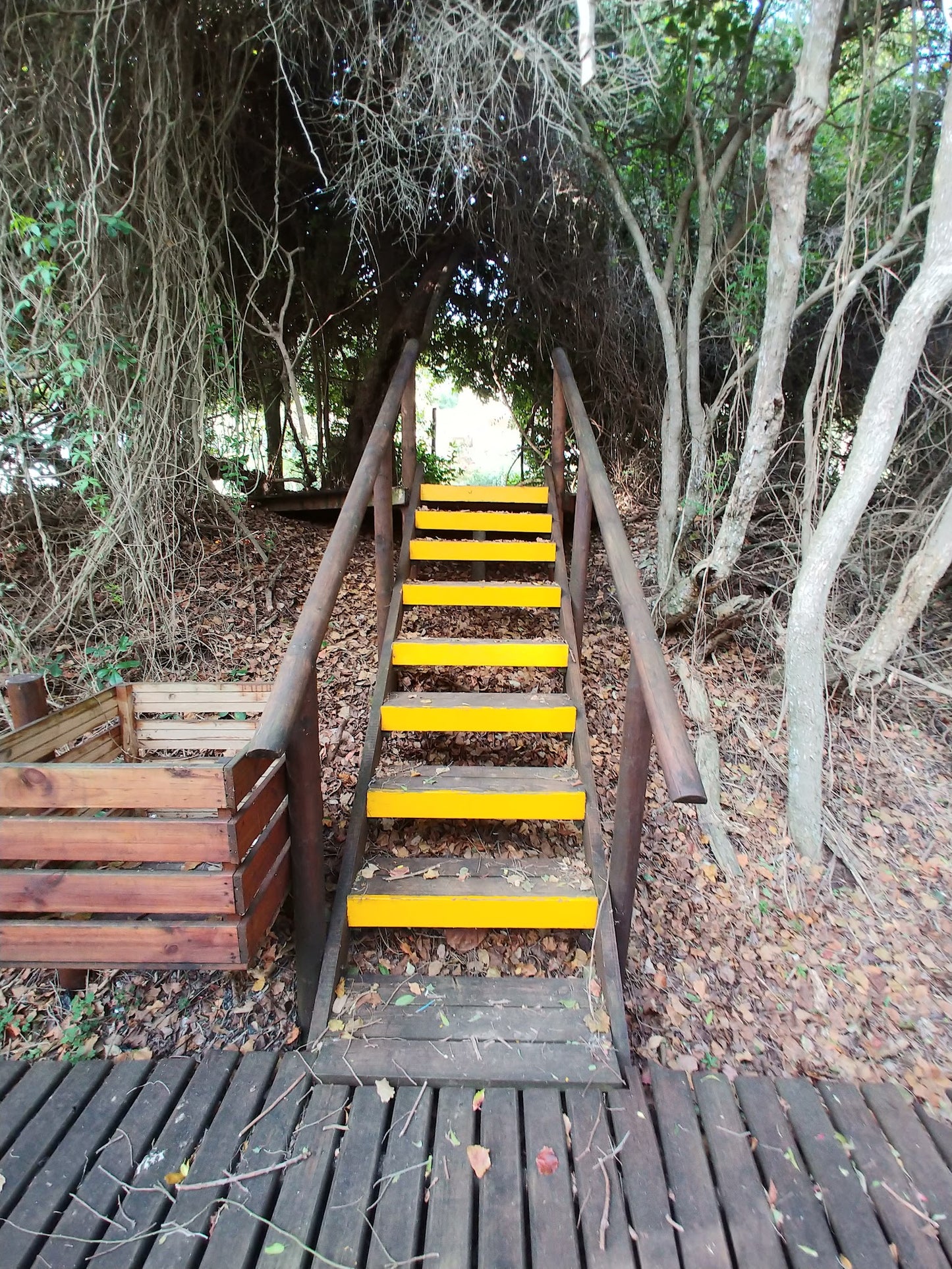 The Board Walk