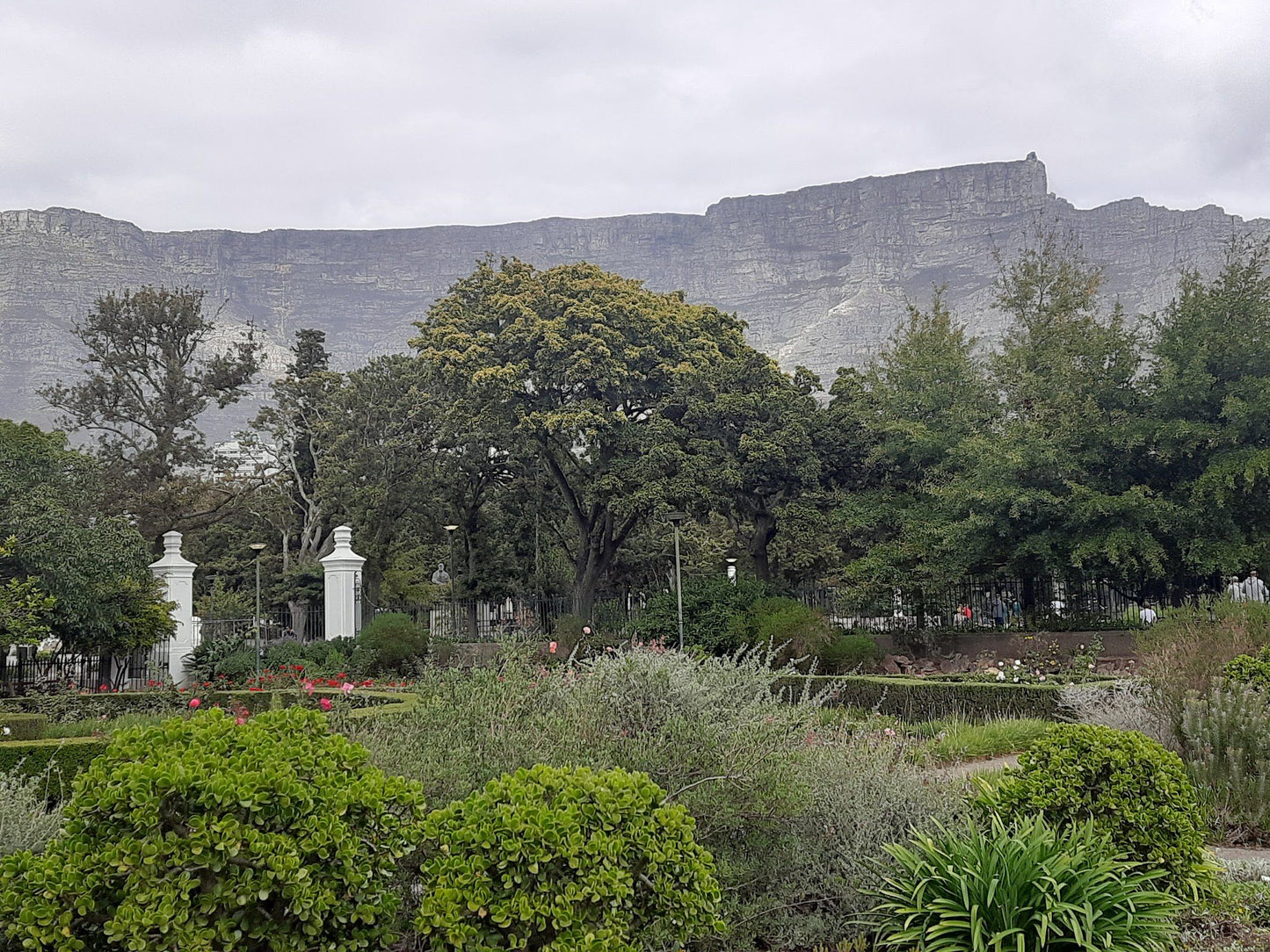  The Company's Garden Restaurant