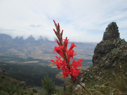 The Dome Helderberg Mountain