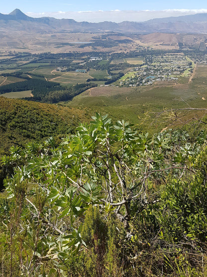 The Dome Helderberg Mountain