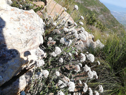 The Dome Helderberg Mountain