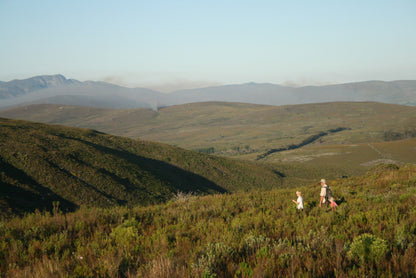  The Fynbos Trail