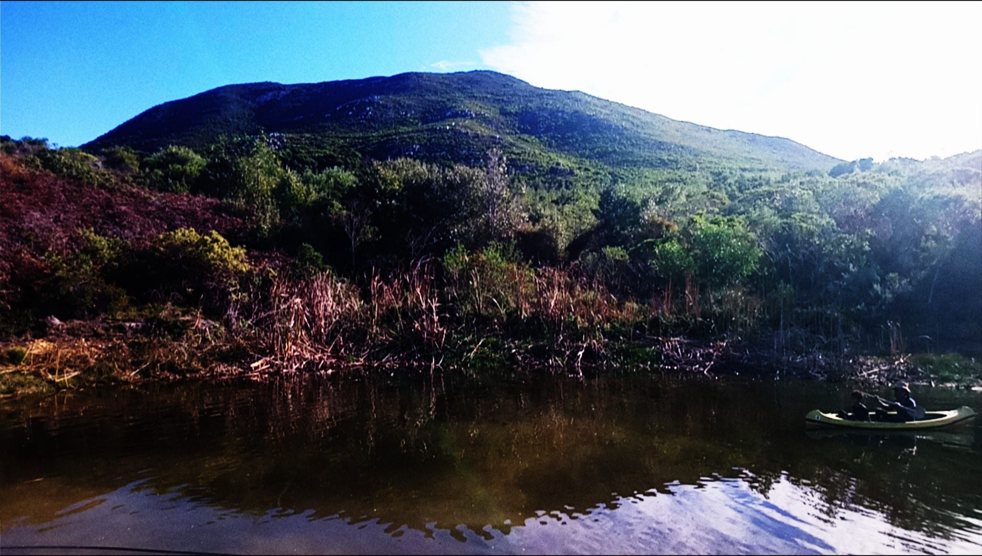  The Fynbos Trail