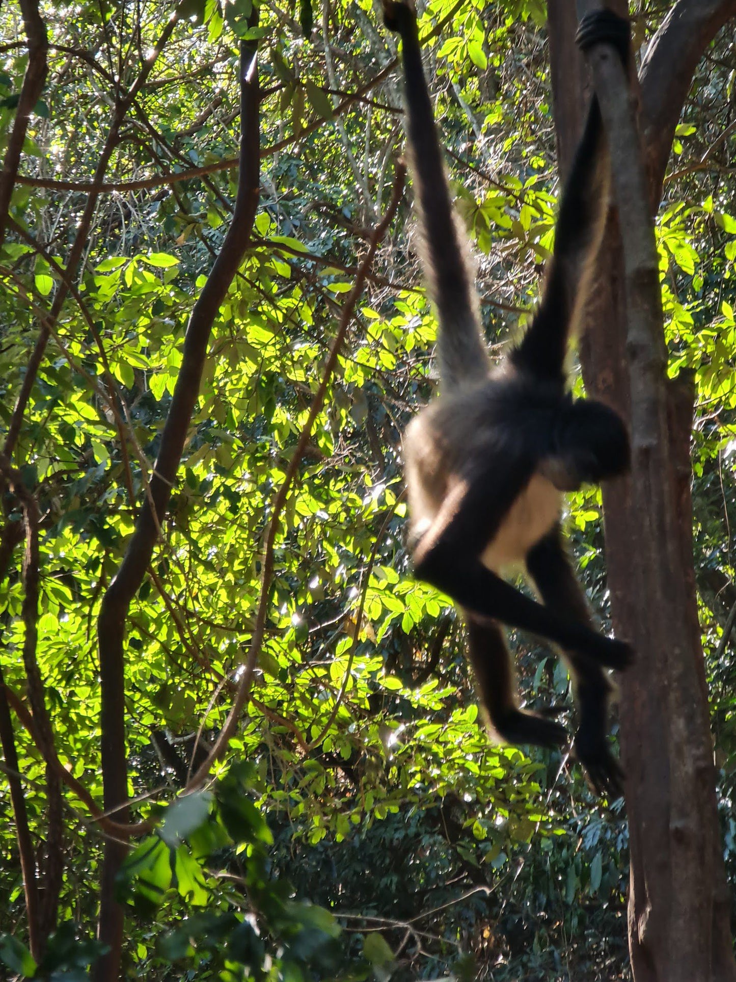  The Hidden Forest Wildlife Sanctuary