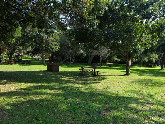  The Island Nature Reserve