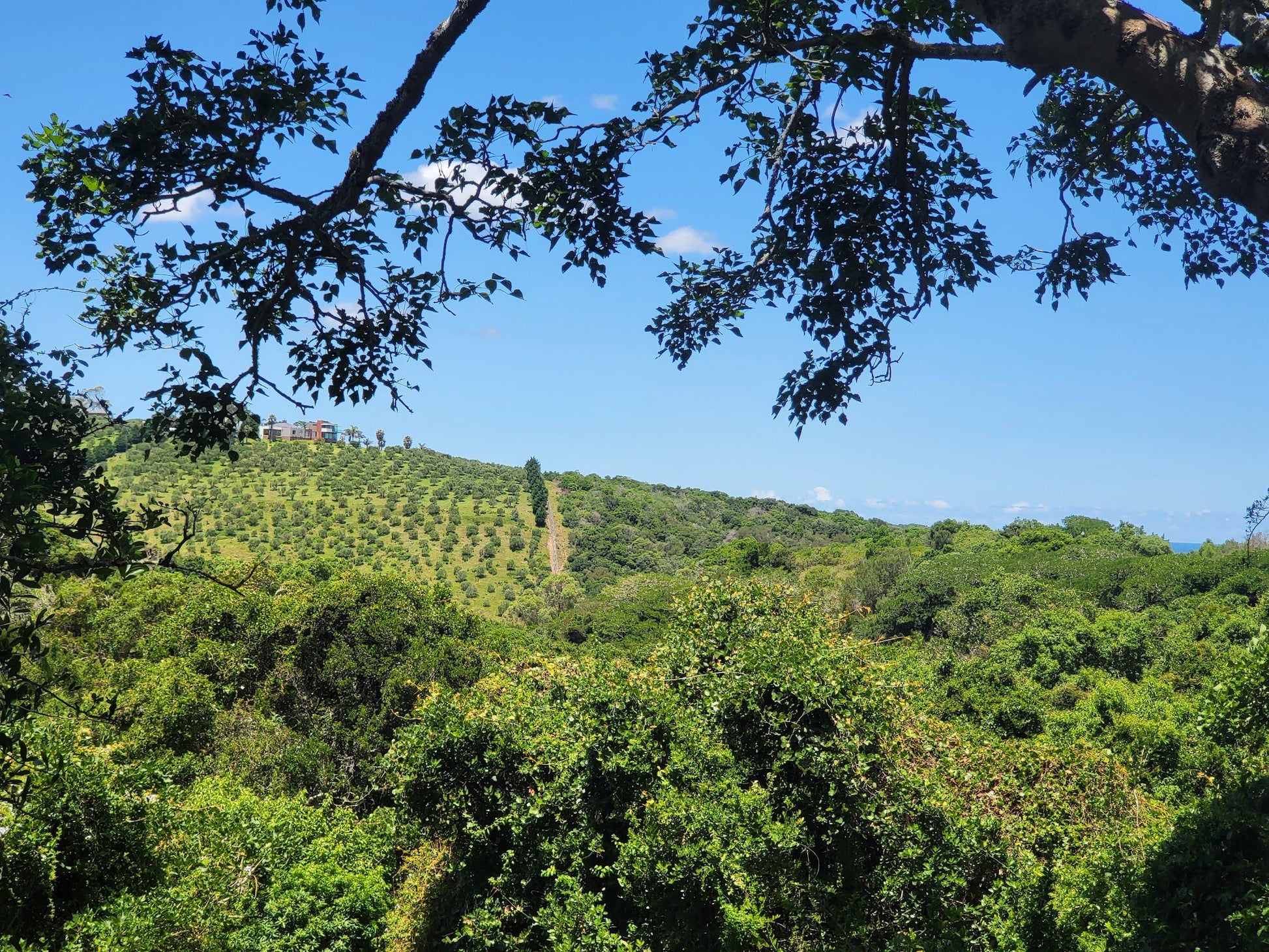  The Island Nature Reserve