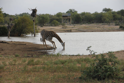  The Klaserie Private Nature Reserve