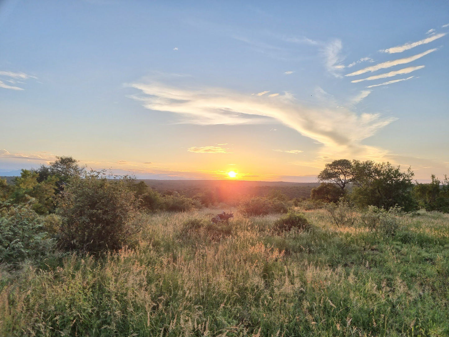  The Klaserie Private Nature Reserve