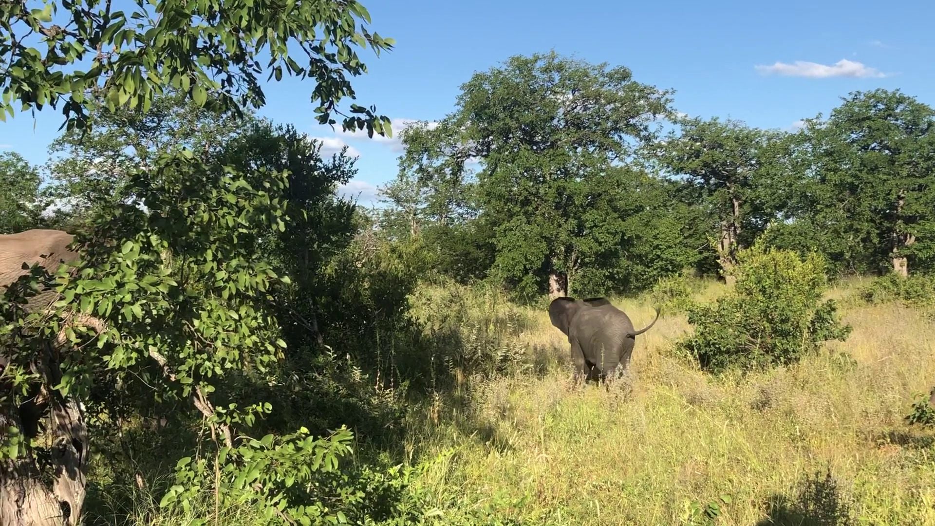  The Klaserie Private Nature Reserve