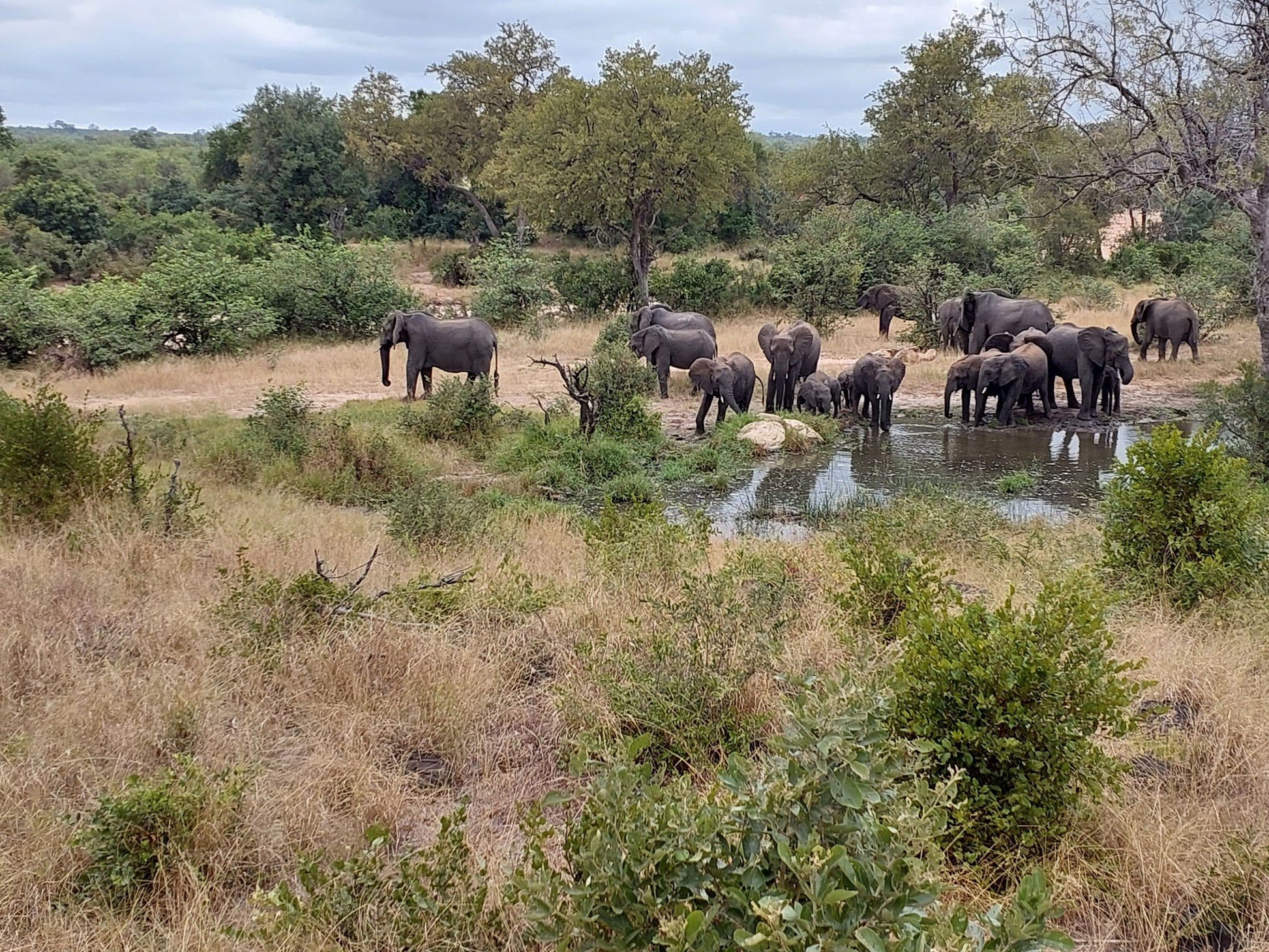  The Klaserie Private Nature Reserve