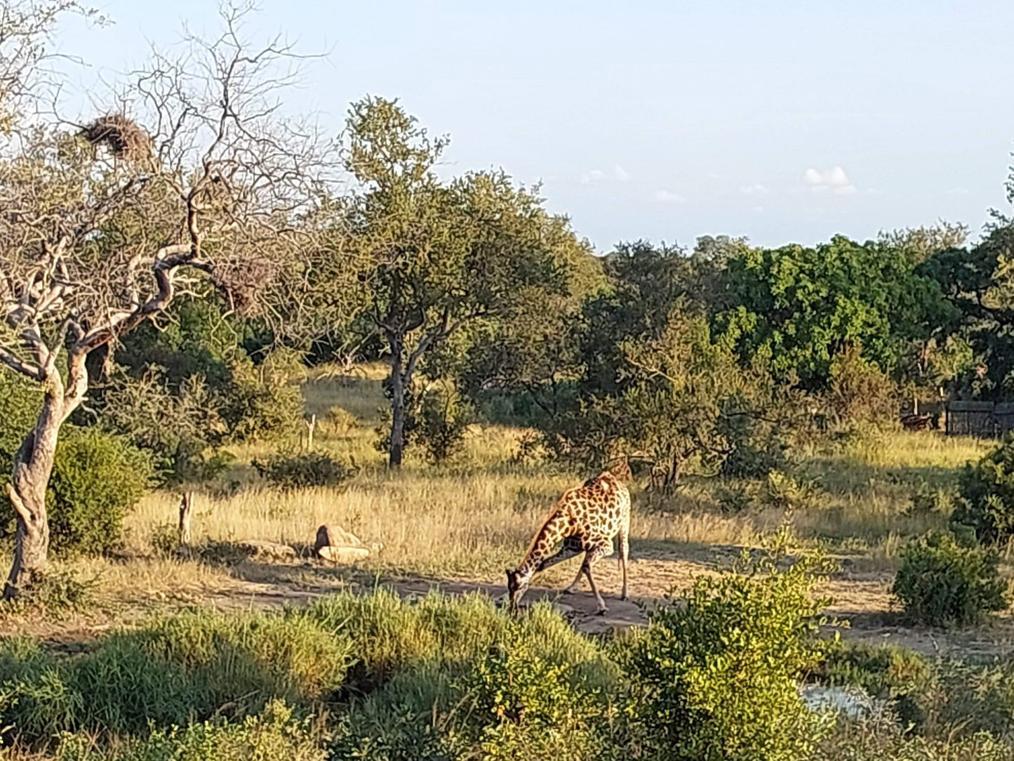  The Klaserie Private Nature Reserve