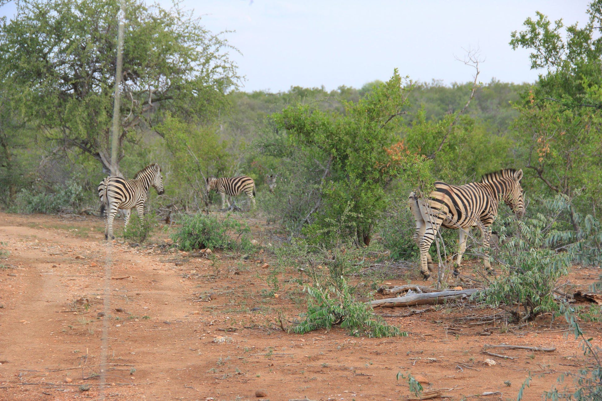  The Klaserie Private Nature Reserve