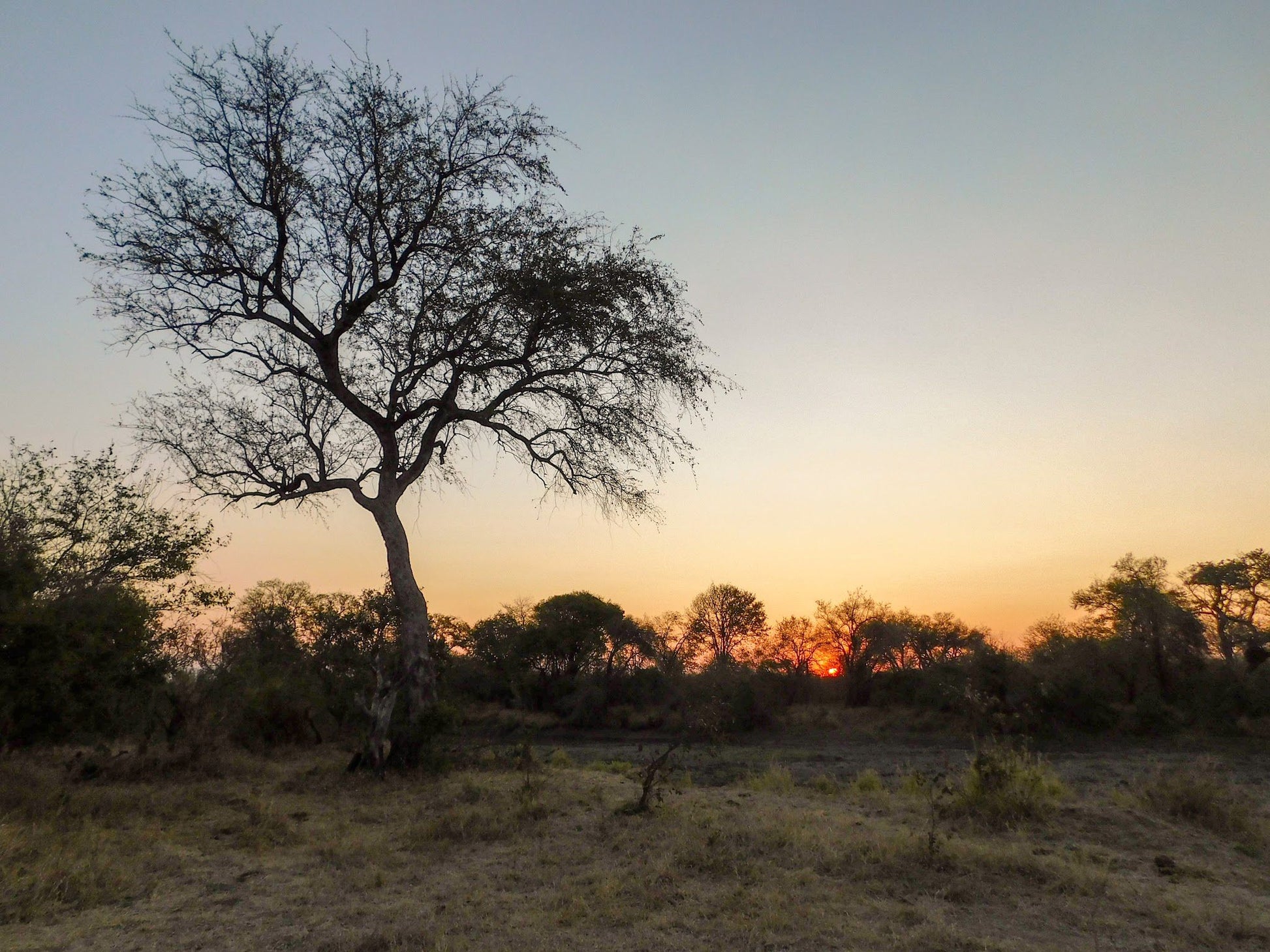  The Klaserie Private Nature Reserve