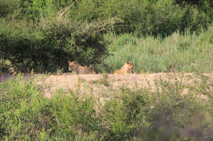  The Klaserie Private Nature Reserve