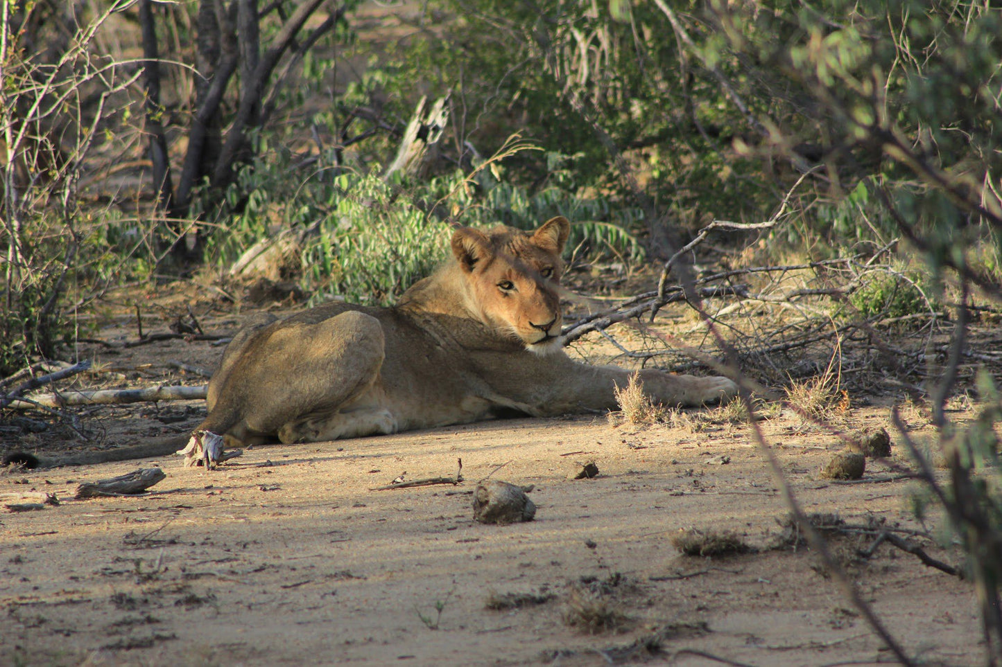  The Klaserie Private Nature Reserve