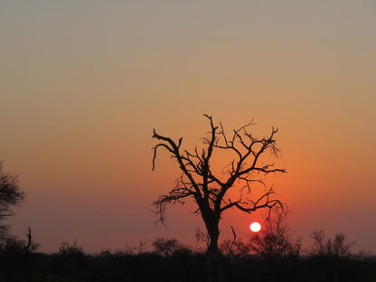  The Klaserie Private Nature Reserve