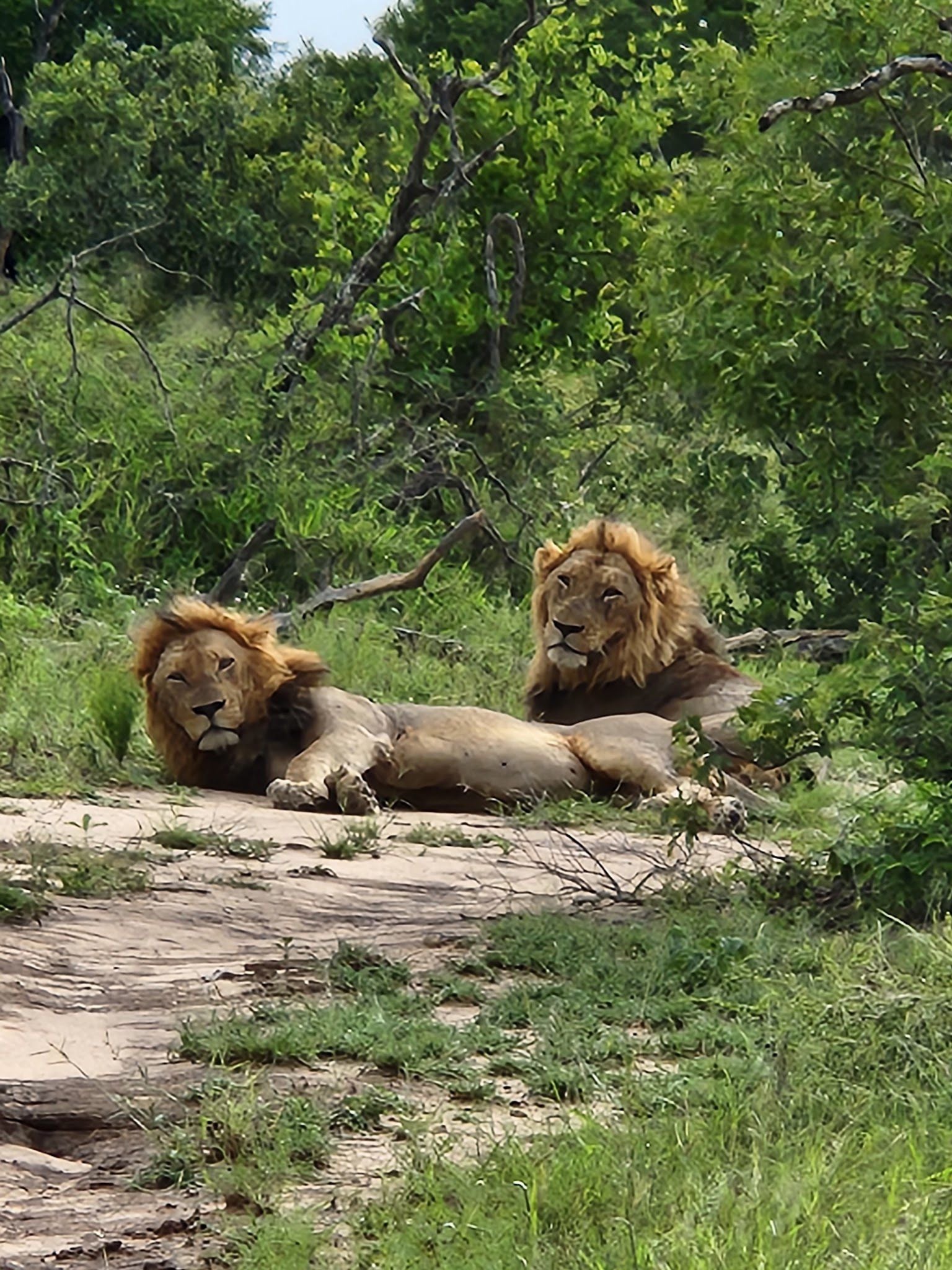  The Klaserie Private Nature Reserve