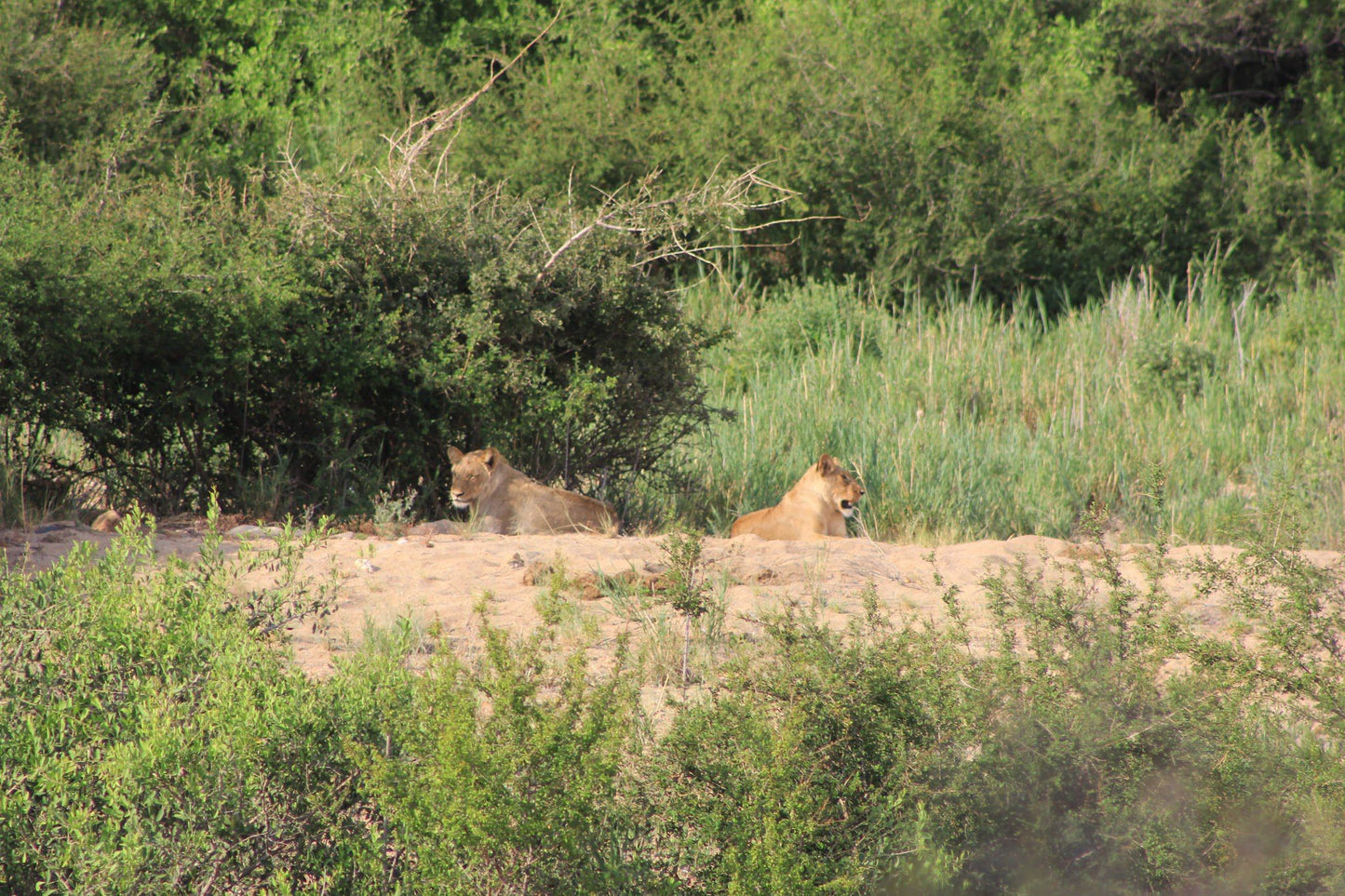  The Klaserie Private Nature Reserve