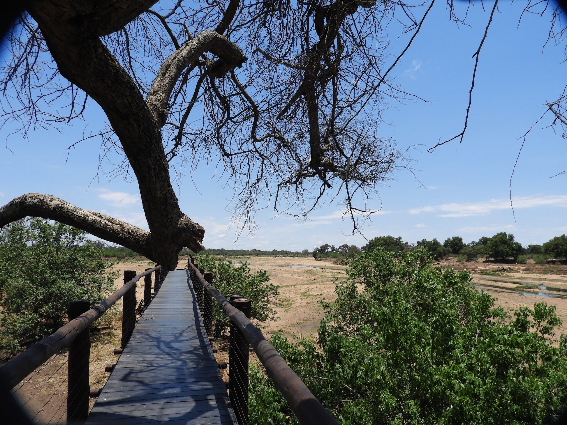  The Mapungubwe Interpretation Centre