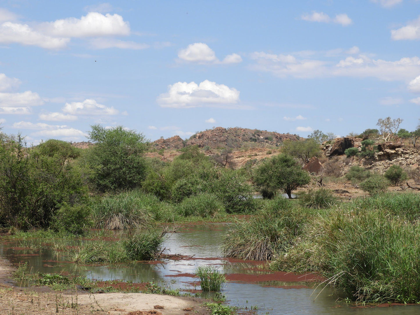  The Mapungubwe Interpretation Centre