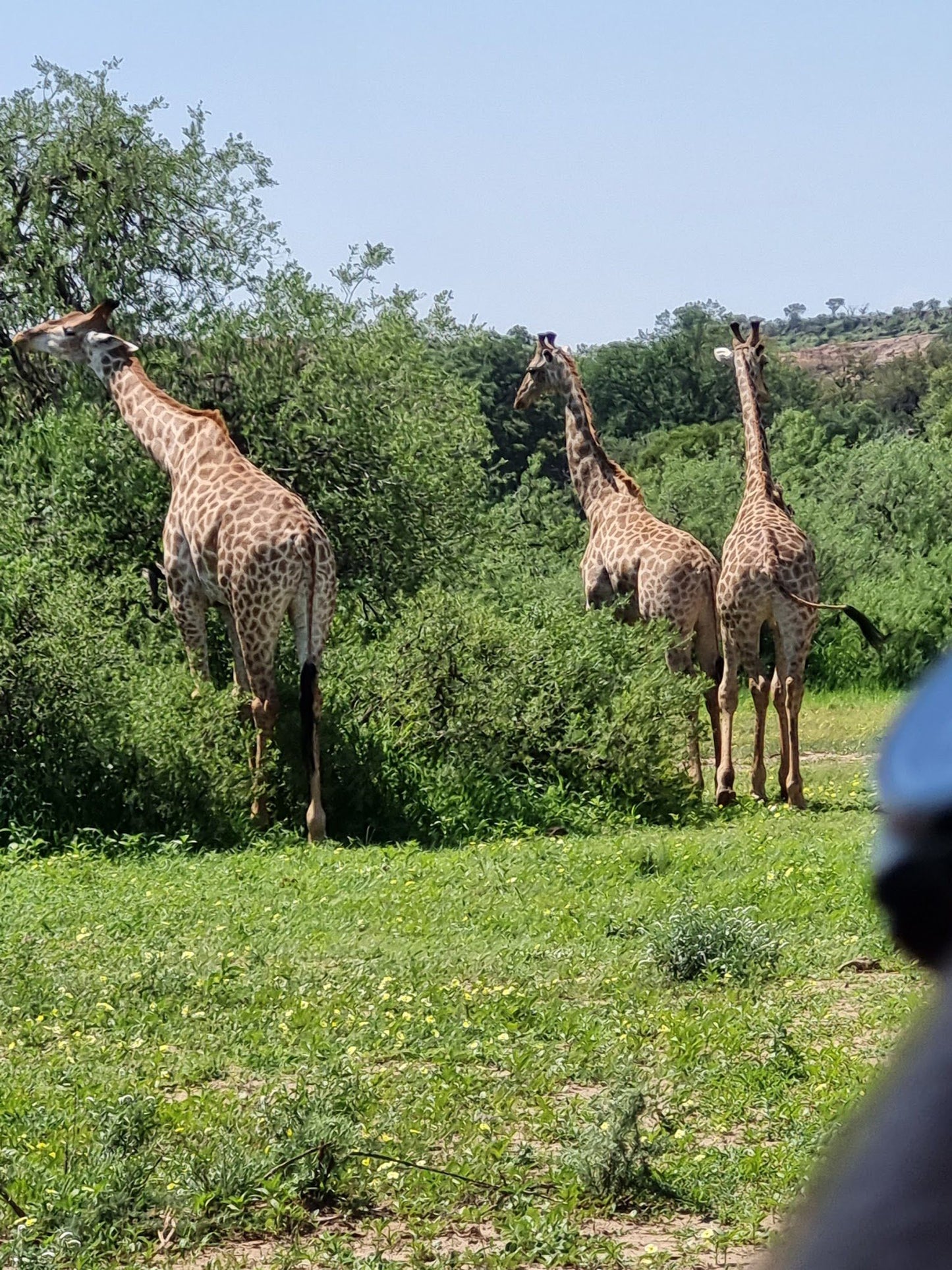  The Mapungubwe Interpretation Centre