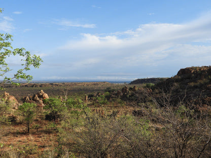  The Mapungubwe Interpretation Centre