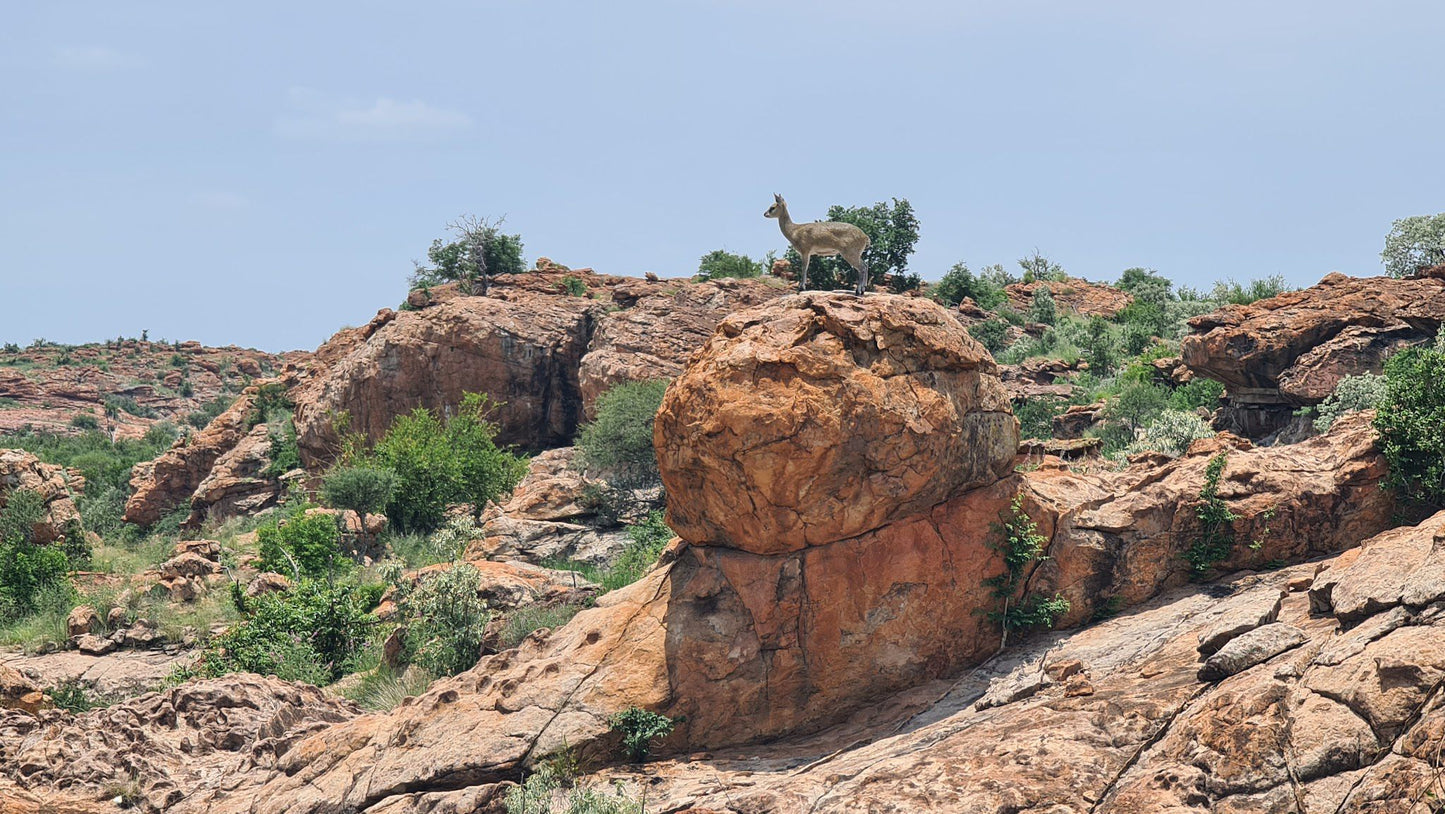  The Mapungubwe Interpretation Centre