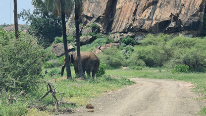  The Mapungubwe Interpretation Centre