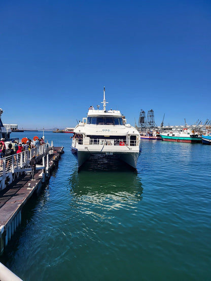  The Nelson Mandela Gateway To Robben Island