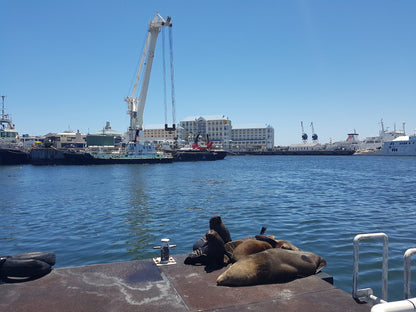  The Nelson Mandela Gateway To Robben Island