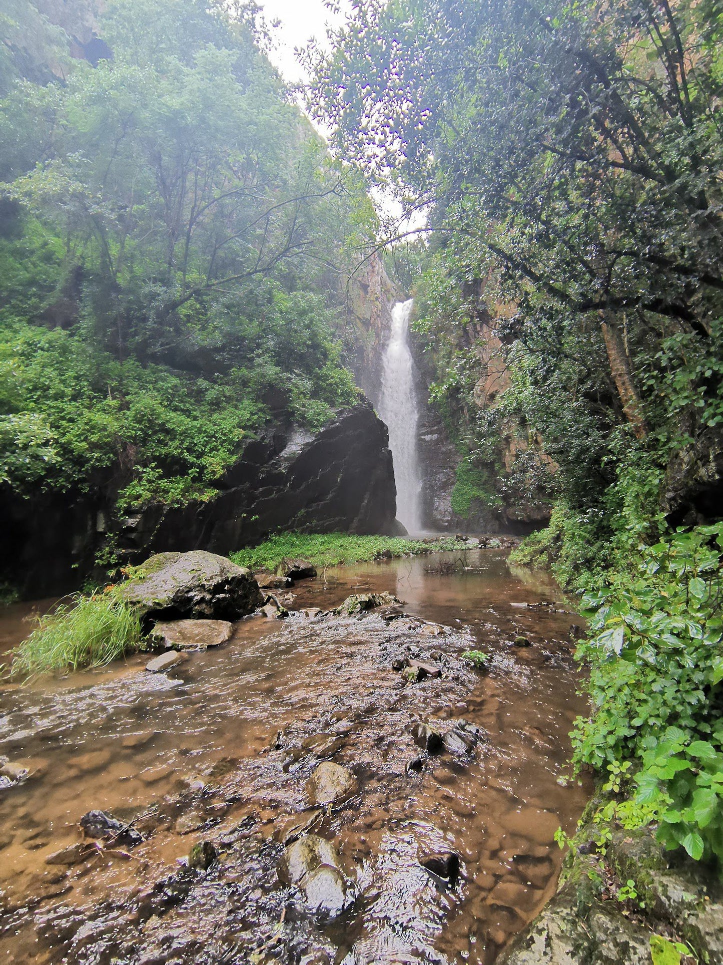  The Num-Num Trail (Now - High Five Hiking Trail)