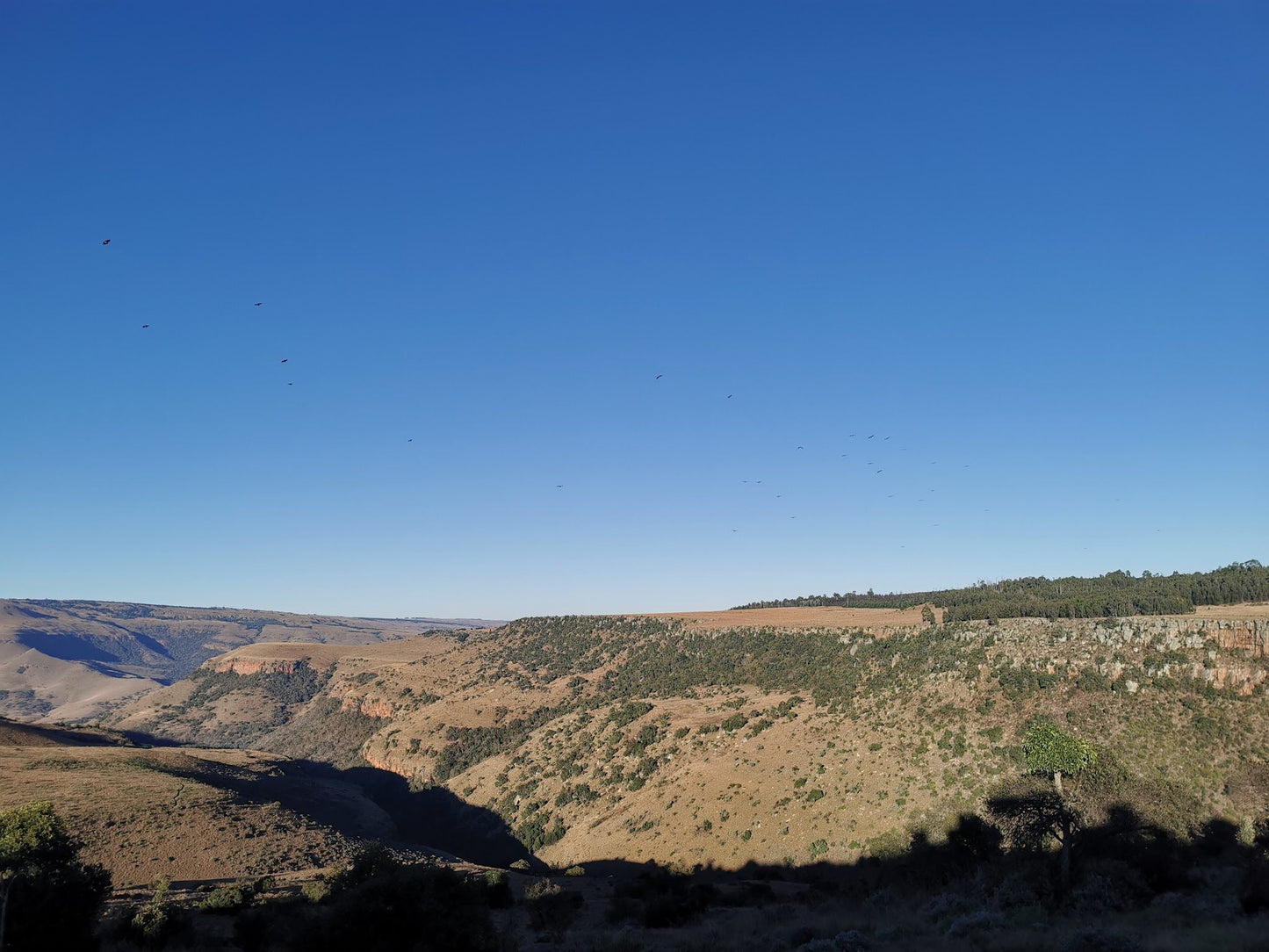  The Num-Num Trail (Now - High Five Hiking Trail)