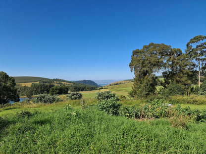  The Old Mushroom Farm