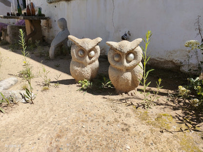  The Owl House Nieu-Bethesda