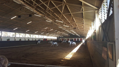  The South African Lipizzaners