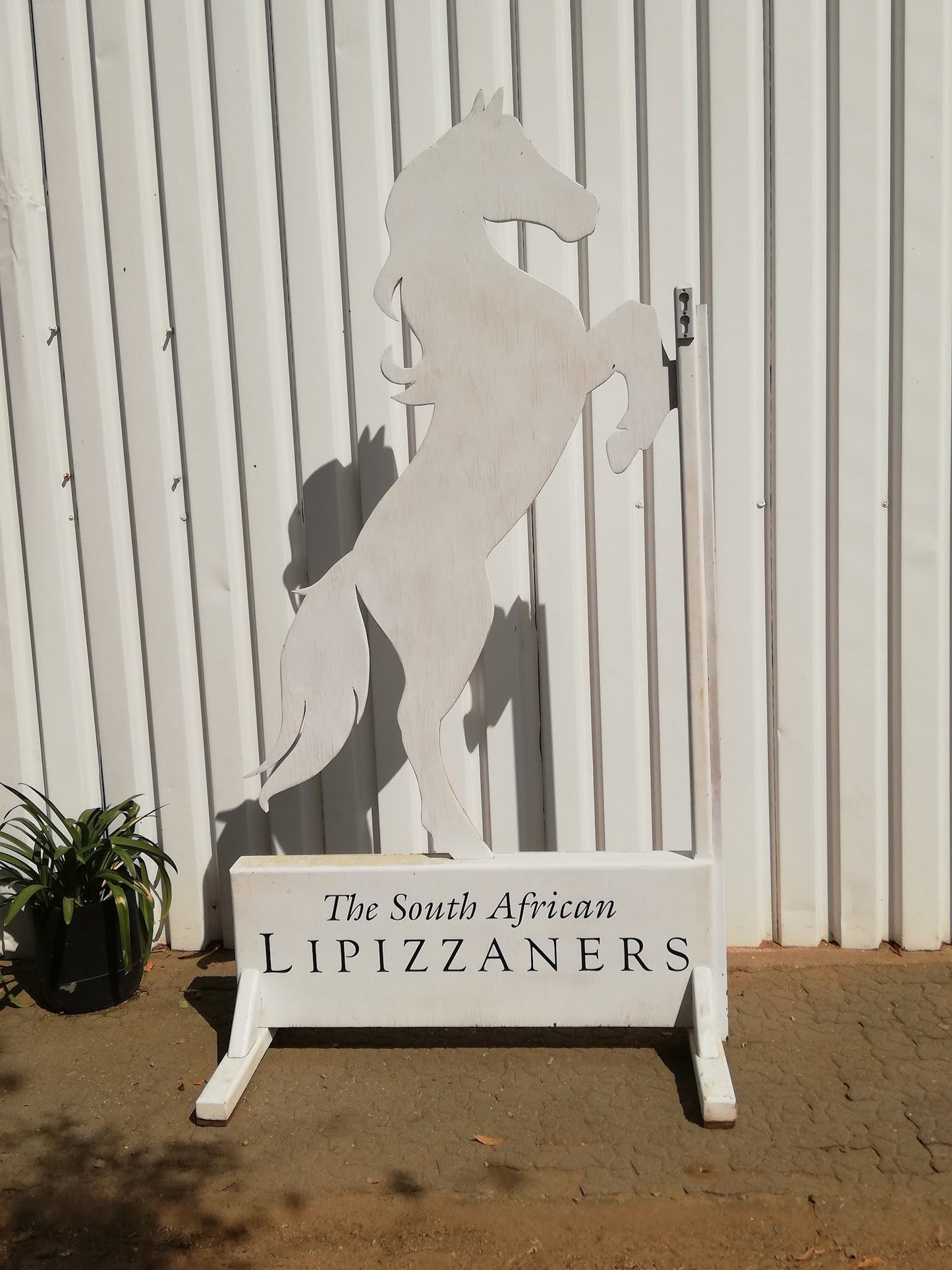  The South African Lipizzaners