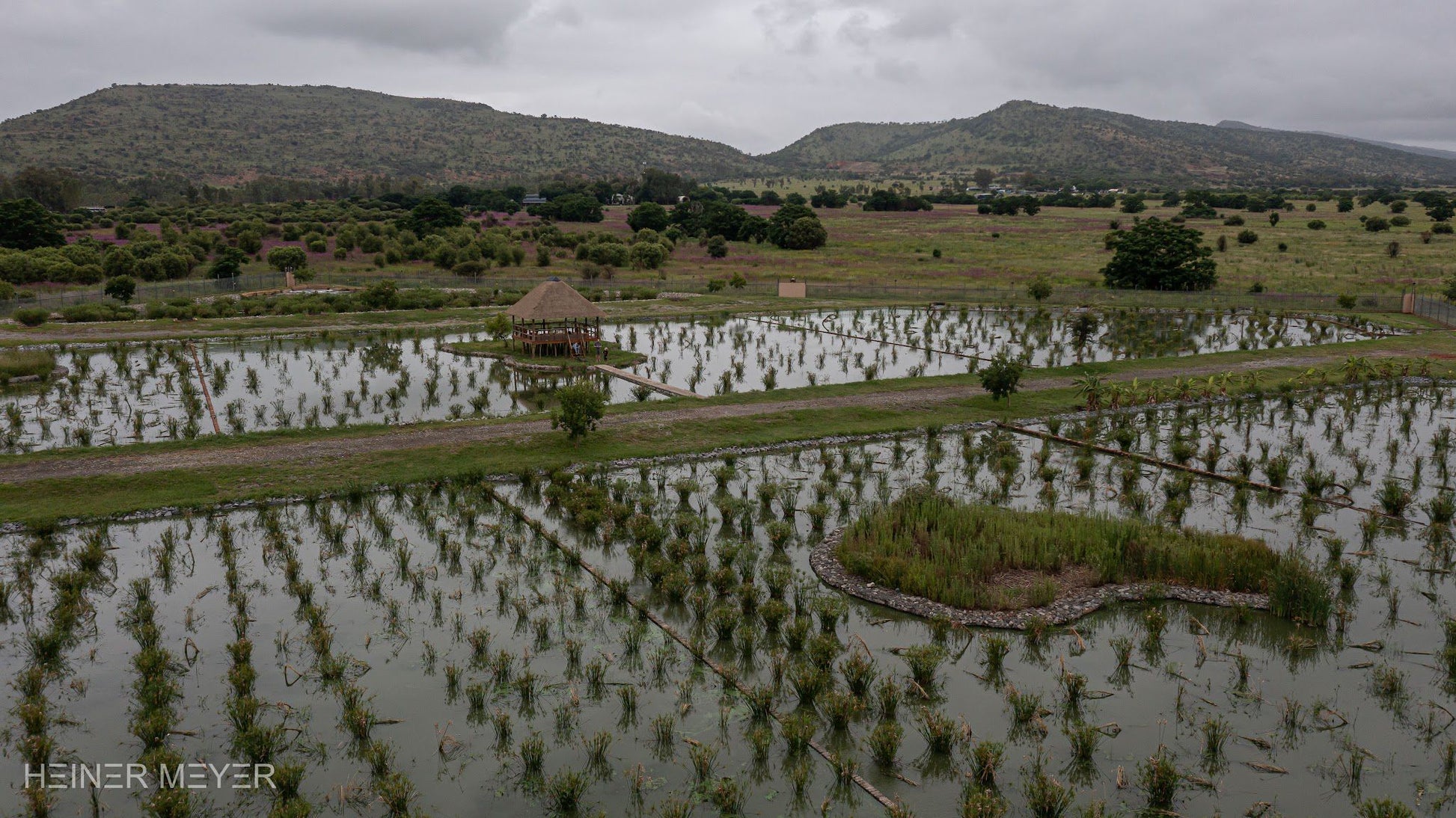  The Wetland