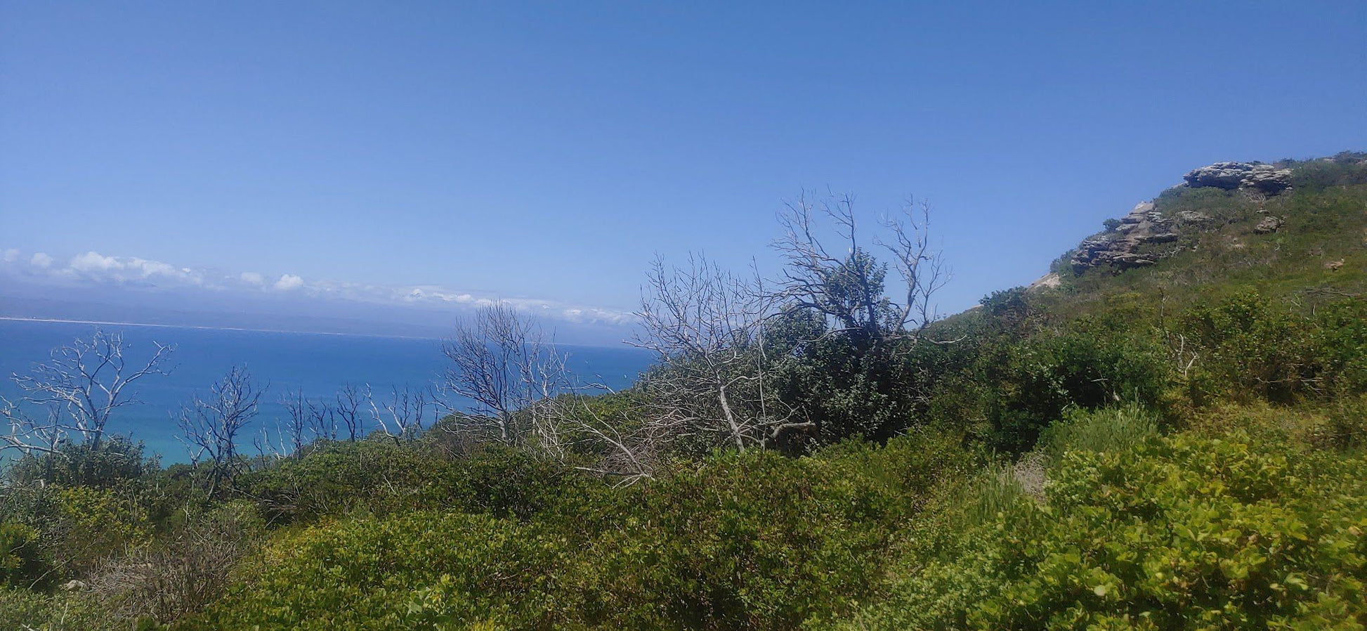  The Wreck Beach View Point