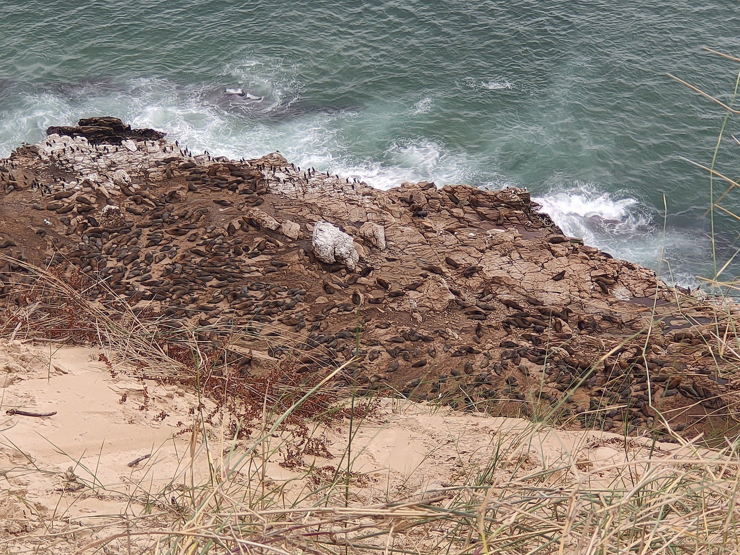  The Wreck Beach View Point