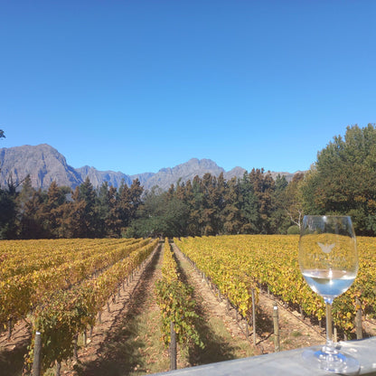  Thelema Mountain Vineyards