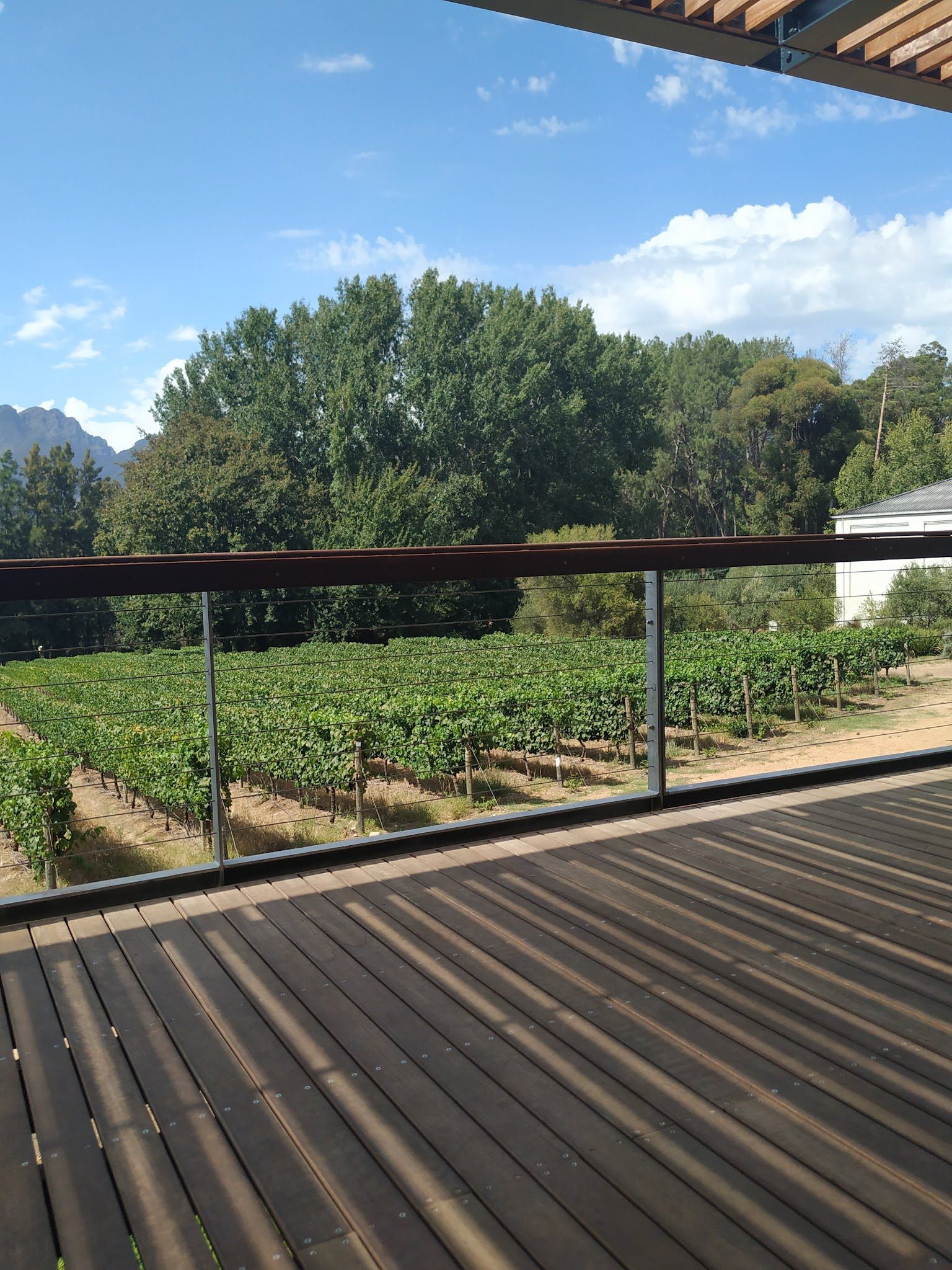  Thelema Mountain Vineyards